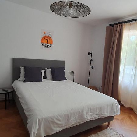 The Pines Serviced Apartments Brașov Exterior foto