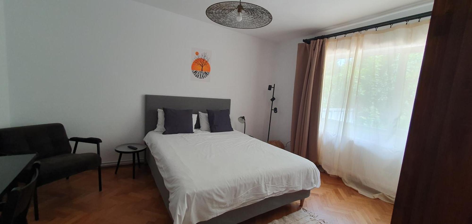 The Pines Serviced Apartments Brașov Exterior foto